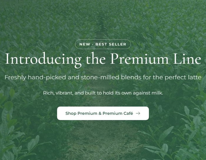 Horai & Co. website